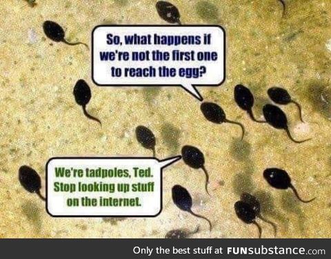 Tadpoles