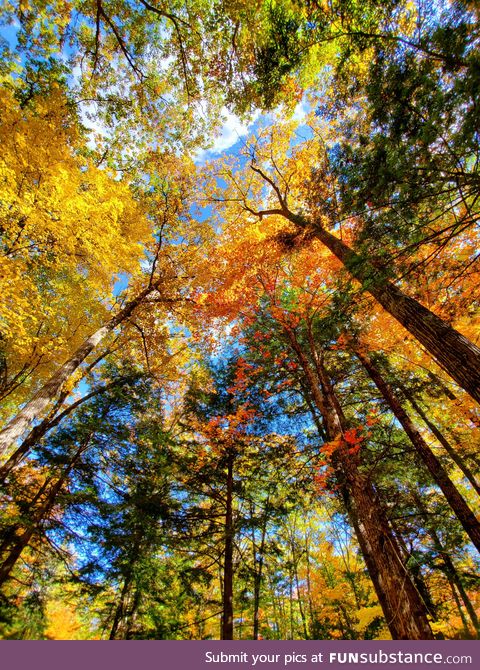 Fall Foliage in the White Mountains, NH