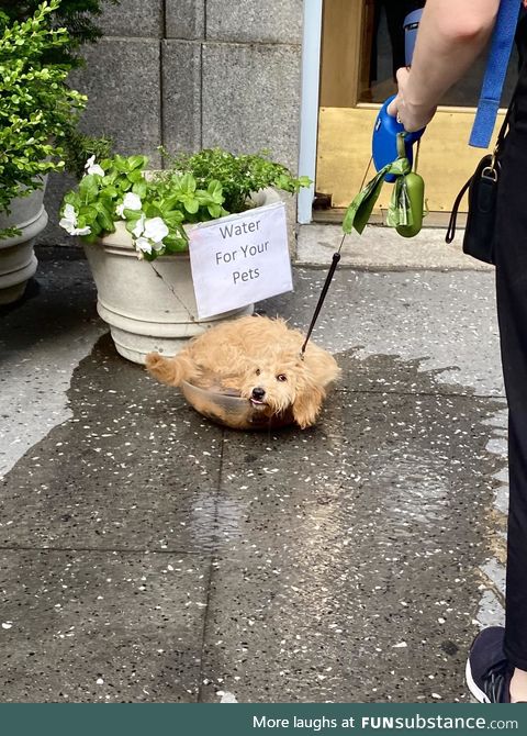 Not what we had in mind, but 10/10 water boy