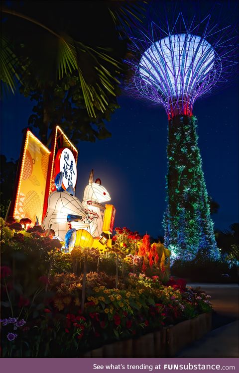 A little late but it was lovely seeing the Chinese New Years decorations in Singapore!