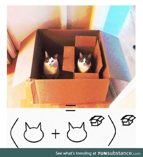 Cat maths