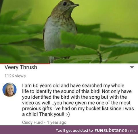 OK now do the mighty Bush Tit