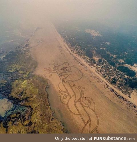 "Australia Burning" - 120m long sand art made with a leaf rake