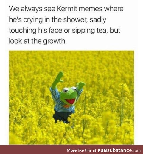 2020 has been good to Kermie