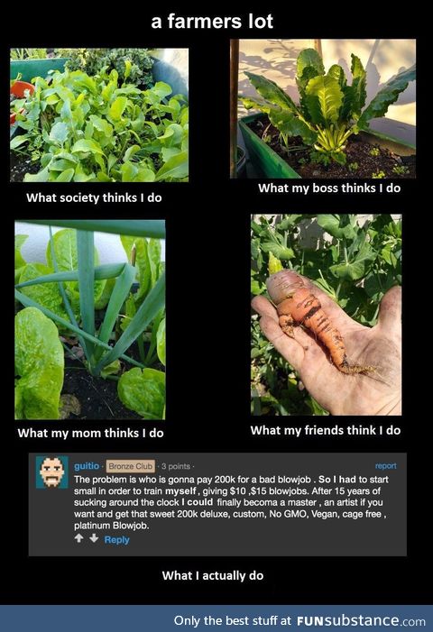 gardening 101