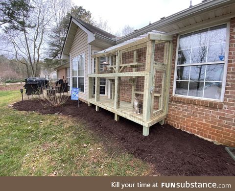 Built a "Catio" this weekend to help our stressed out kitties during the quarantine