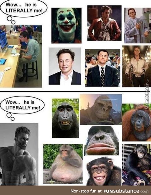 Monkey=chad