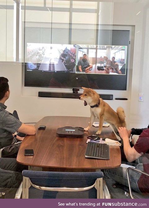 Angry boss yelling at his employees