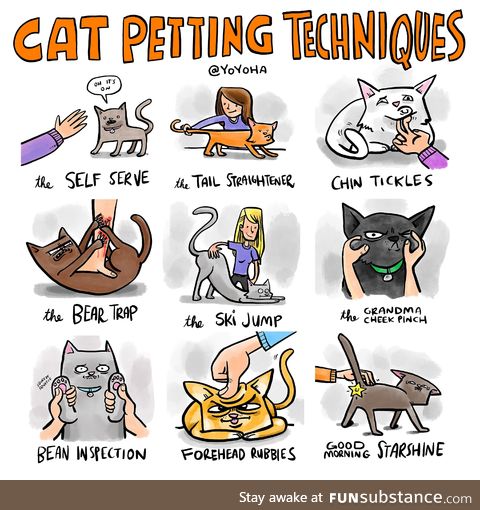 Cat petting techniques