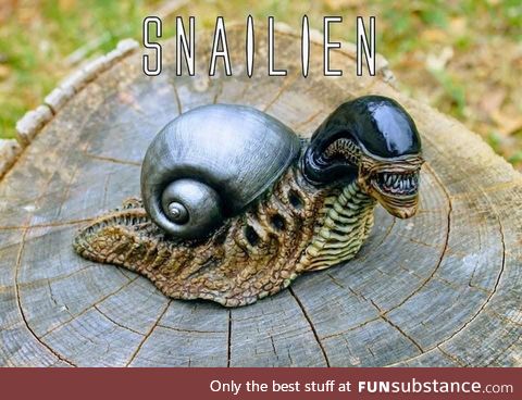 Snailien