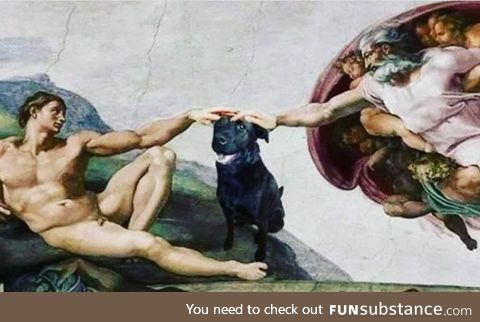 The creation of a good boy