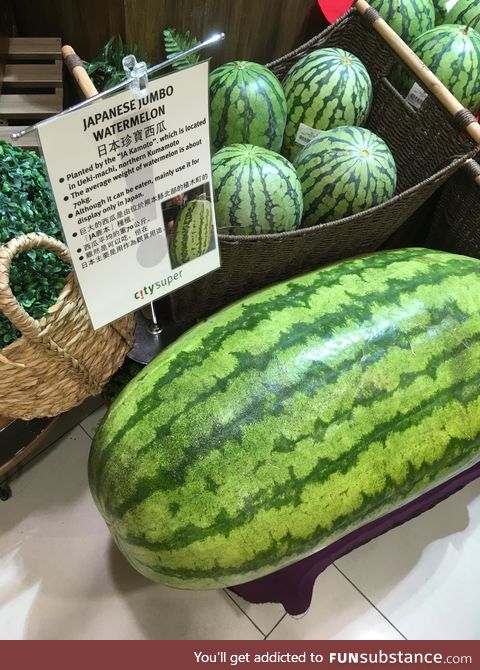 70 kg Watermelonzilla