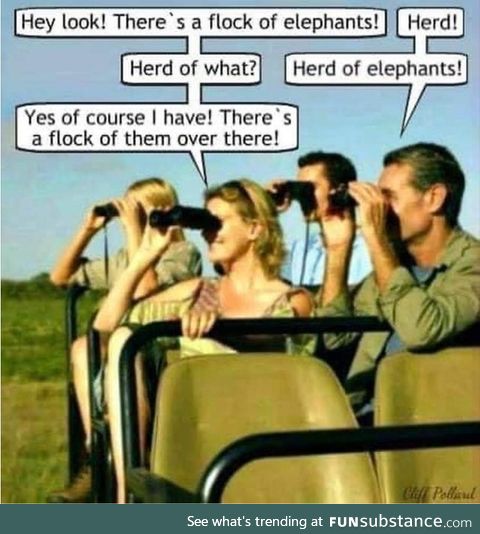 Irrelephants