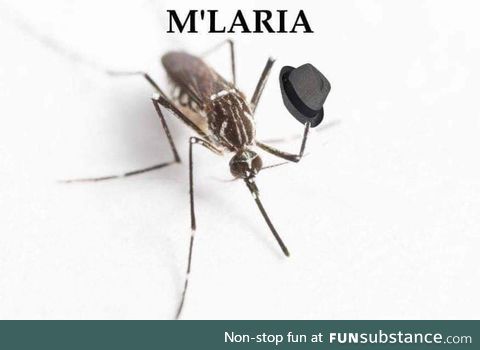 M'laria