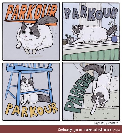 Parkour!!!