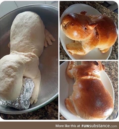 Homemade capybara