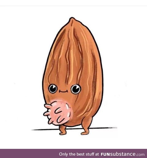 Where almond milk comes from