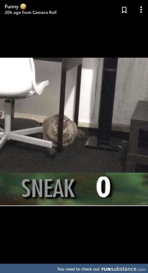 Sneak 0