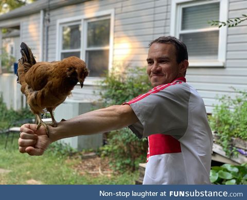 Finally getting into falconry