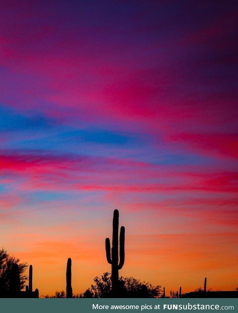 Arizona sunset