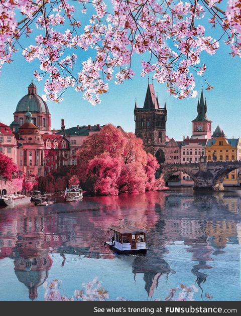 Springtime in Prague(Photo Credit : Florian Olbrechts )