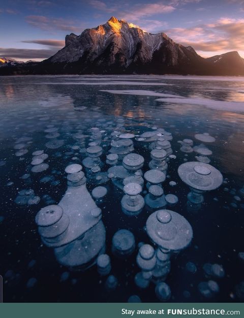 Ice bubbles in Alberta