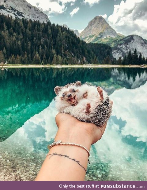 A cute boy and a lake