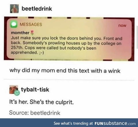 Momther be climbing in yo windows