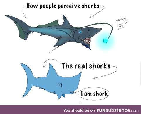 Shork