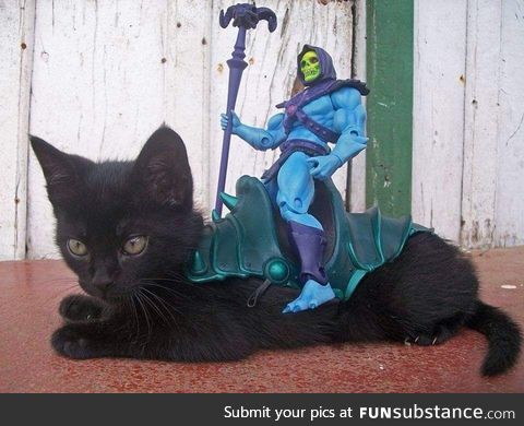 Skeletor and Panthor