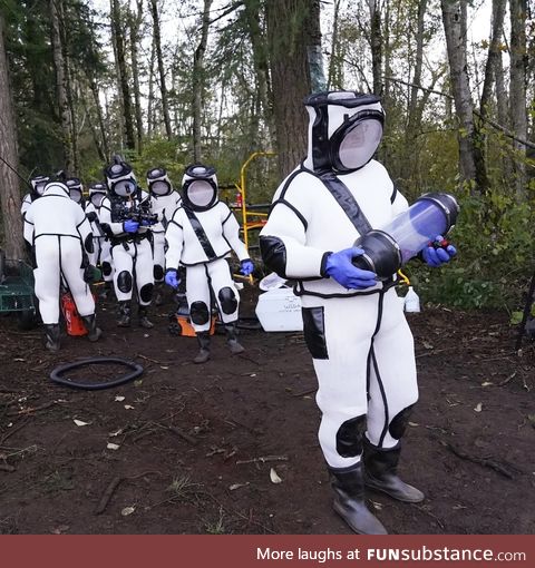 Washington State Murder Hornet eradication team 2020