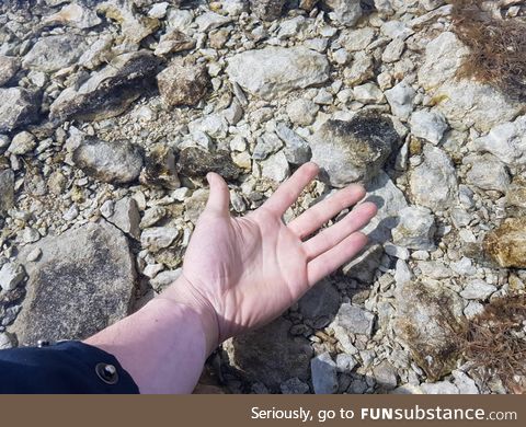 This is how clear Swedish spring water is