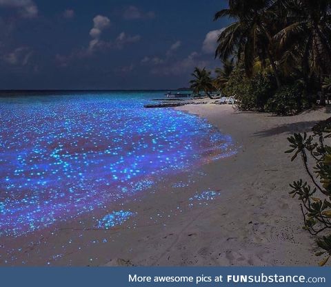 Sea Sparkle...A magical shot of the bio luminescent display at the beach