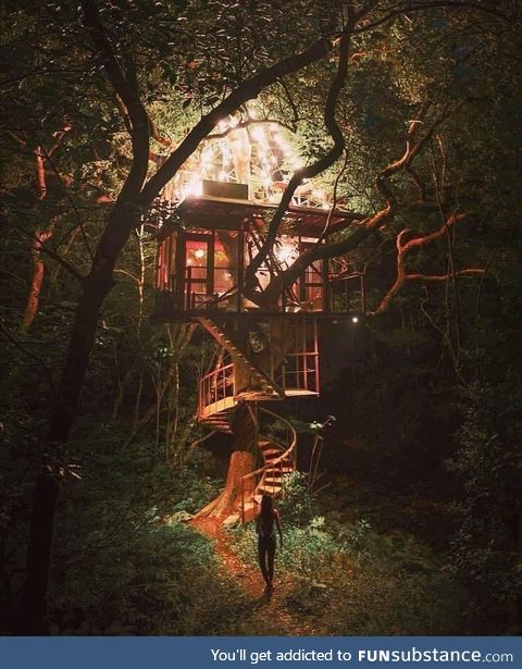 Treehouse love