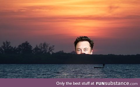 Elon dusk