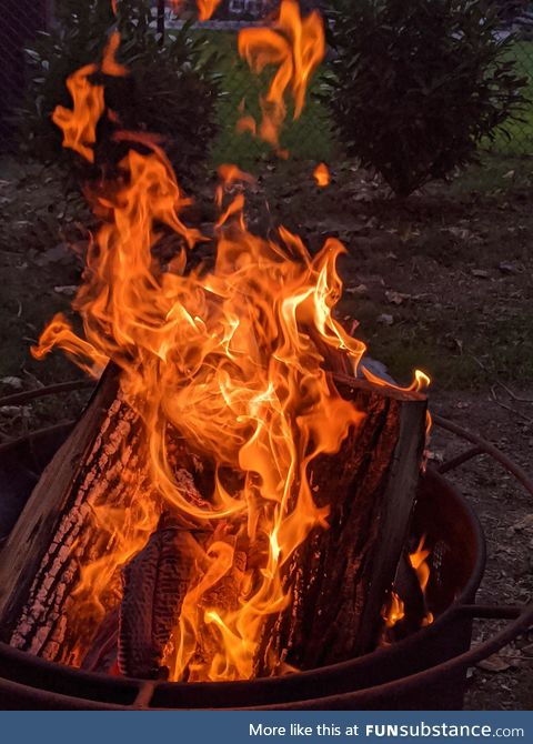 Had a fire last night, got a nice pic