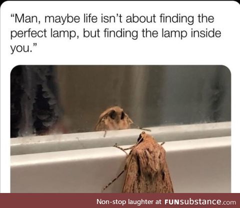 Light the fire inside ya self, Moth Boy