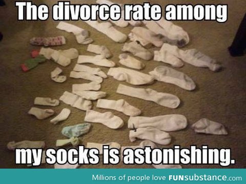 The divorce rate