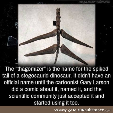 The mighty Thagomizer