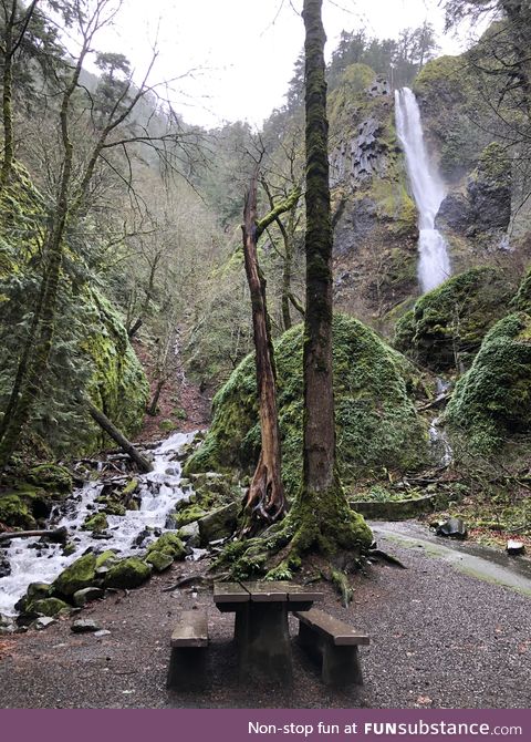 Starvation creek falls, oregon