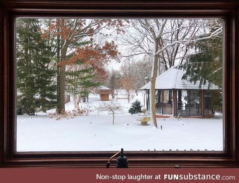 Window on this guy's house looks like a framed paint