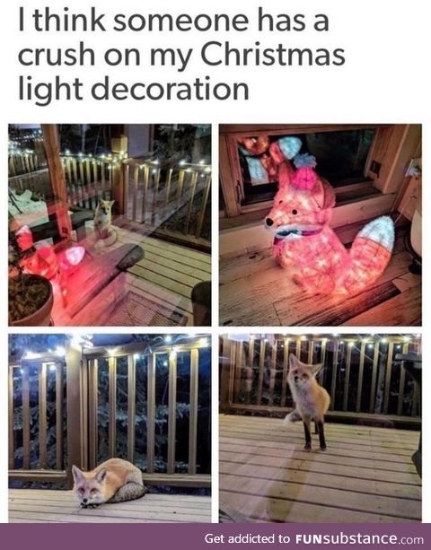 The best decoration