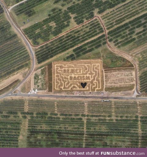 What this corn maze said ????