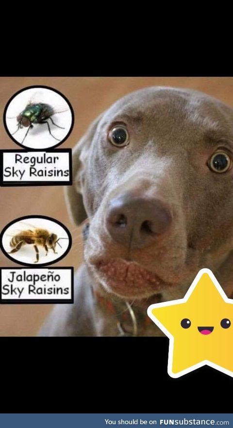 SKY Raisins (541 x 960)