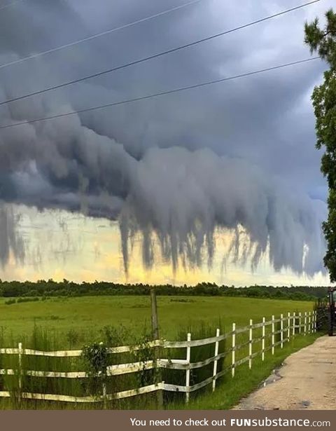 These creepy looking clouds are called scud clouds