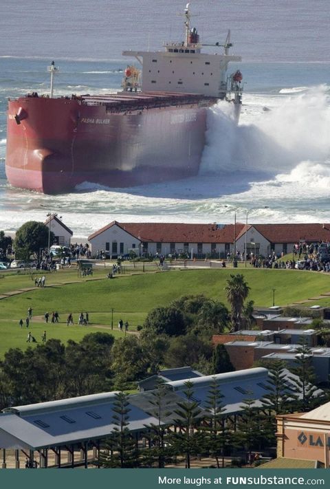 Pasha Bulka washes ashore in Newcastle Australia