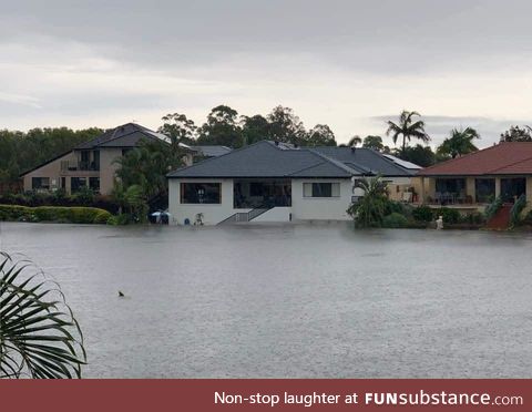 Australia. Burning one minute. Flooding the next (Yep that’s shark swimming down the