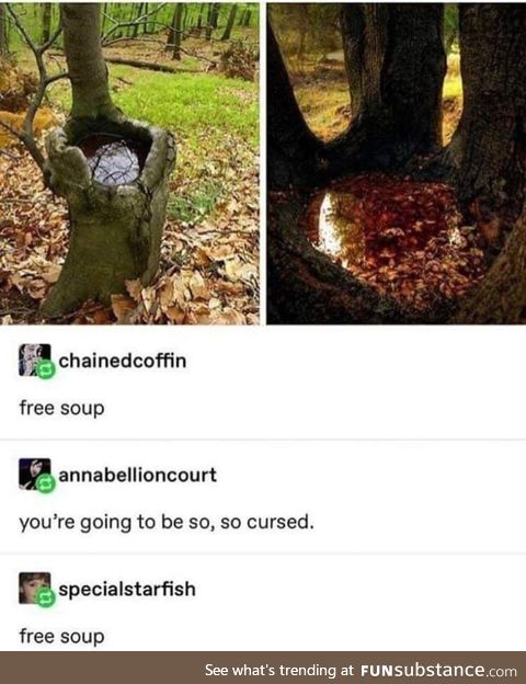 Free soup