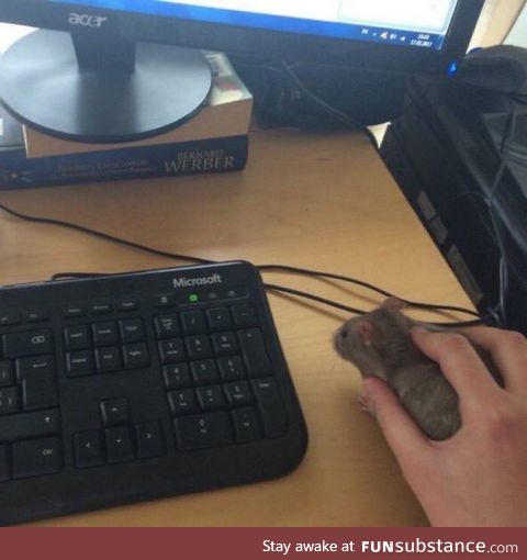 Just found this mouse seems to be in good shape