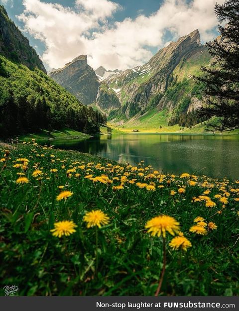 Switzerland